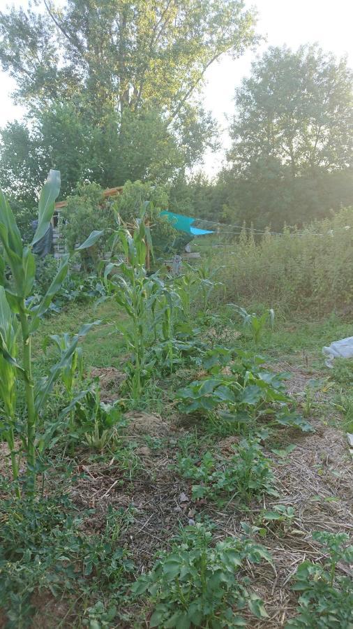 Tente en permaculture pirate Creysse  Exterior foto