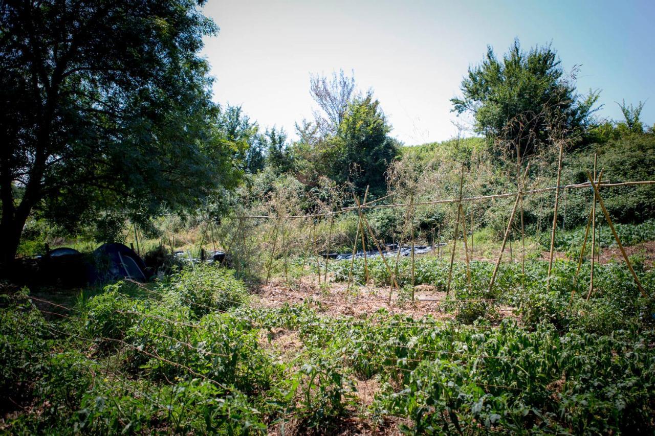 Tente en permaculture pirate Creysse  Exterior foto